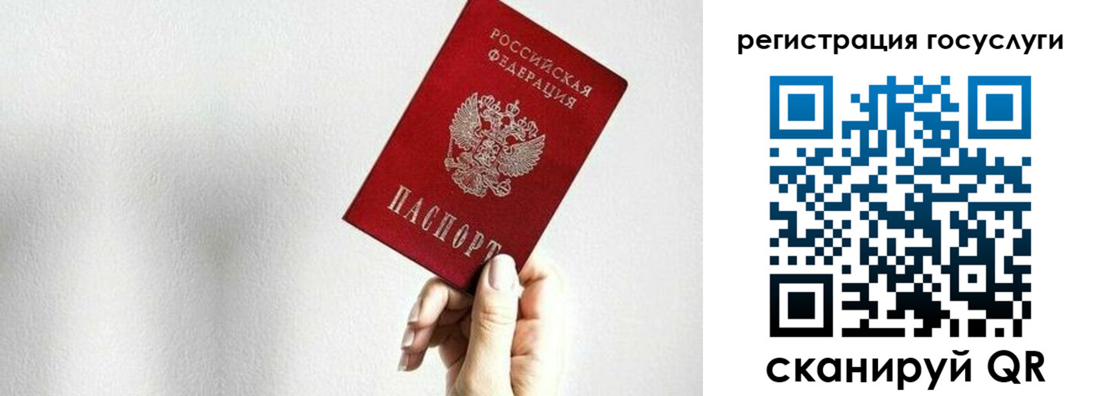 прописка гарантия в Ахтубинске